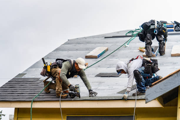 Professional Storm Damage Roof Repair technician working in Columbia, IA